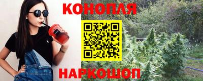 ALPHA PVP Ярославль